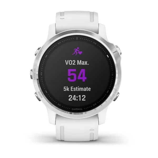 Garmin Fenix 6S Smart Watch - Silver
