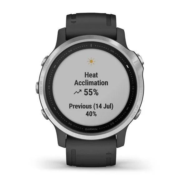 Garmin Fenix 6S Smart Watch - Silver