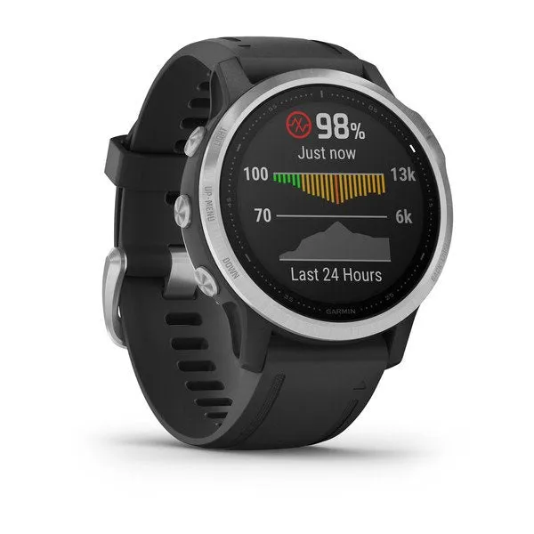 Garmin Fenix 6S Smart Watch - Silver